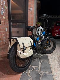 Bici Elettrica
