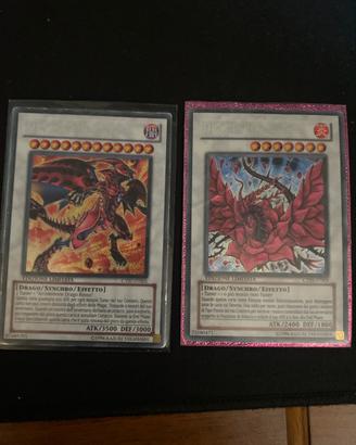 Drago nova rossa