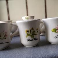 Servizio da te e caffè Santucci Deruta