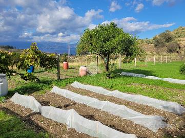 TERRENO A REGGIO DI CALABRIA