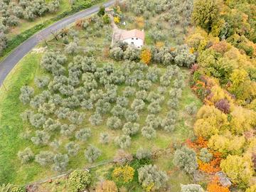 Terreno di 4160 m² a Poggio Nativo