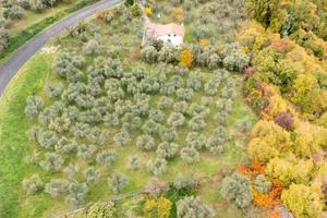 Terreno di 4160 m² a Poggio Nativo