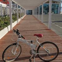 Due Bici pieghevoli pininfarina