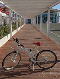 Due Bici pieghevoli pininfarina