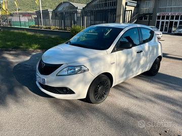 Lancia Ypsilon 1.2 69 CV 5 porte S&S Platinum