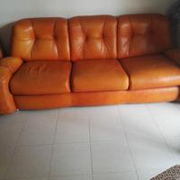 Divani