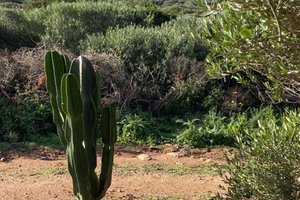 Terreno con casetta