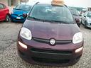 fiat-panda-1-2-dynamic-cc-1242-benzina-si-nuovi-pa