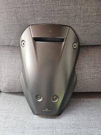 Cupolino Ducati v4 RS e PP