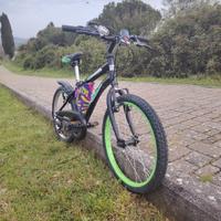 bicicletta 