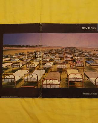 Copertina disco Pink Floyd