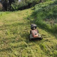 trinciaerba rotofalce Benassi 