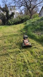 trinciaerba rotofalce Benassi 