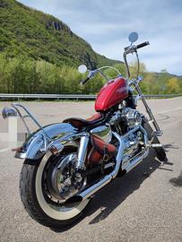 Harley 1200