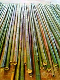 Bambu' su misura - diametri 1 -10 cm. Canne Italia