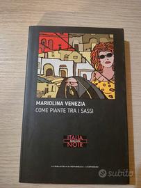 come piante tra i sassi
