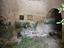 Immagine 15