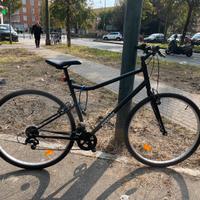 Bicicletta Riverside 100