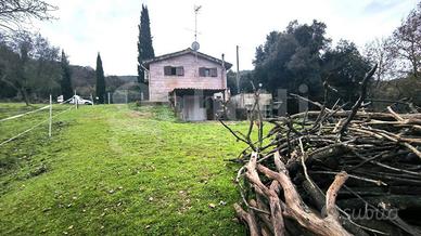 Terreno Agricolo Scarlino [024/S008VCG]