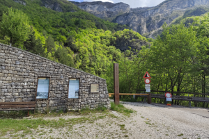 Bosco a Trambileno (TN) - Totale 13.391 mq