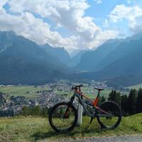 Canyon Spectral CV 8.0 