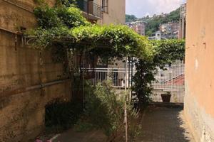 Stanza singola studentessa/specializzanda