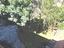 Immagine 18