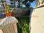 Immagine 12