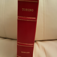 Torino 1880.prima edizione