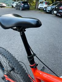 Bici da discese