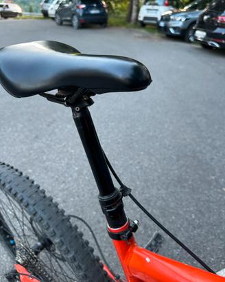 Bici da discese