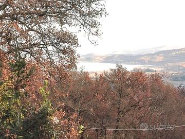Barberino di mugello fienile mq 60 resede