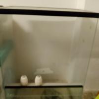 teca animali esotici