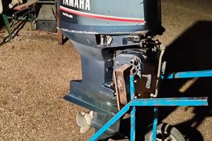 motori fuoribordo ×3