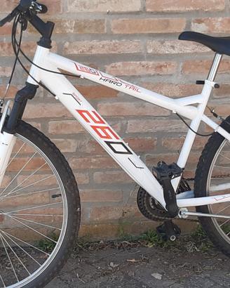 MTB HARD SPORT 260 ruota 26 con cambio