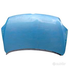 COFANO ANTERIORE VOLKSWAGEN Golf 5 Plus (04>13)