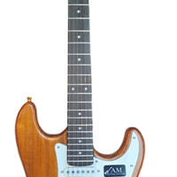 Chitarra elettrica di liuteria stile stratocaster