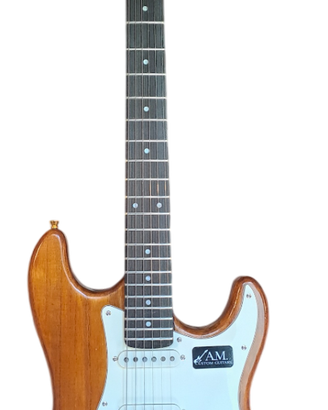 Chitarra elettrica di liuteria stile stratocaster