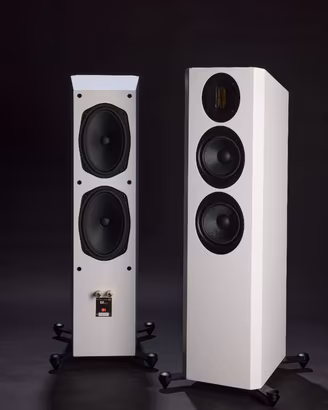Scansonic M20.2, diffusori gruppo Raidho