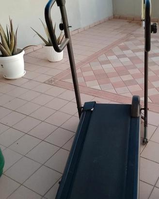 Tapirulan magnetico 