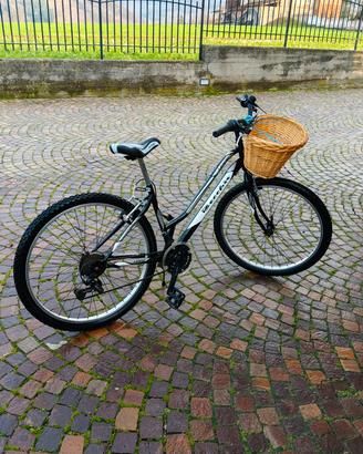 bicicletta donna