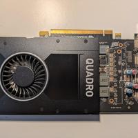Scheda video Nvidia quadro P2000