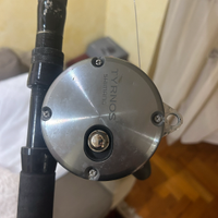 Canna da pesca traina