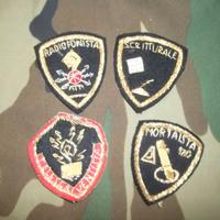 Lotto fregi specialità Esercito italiano Vintage