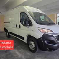 Fiat Ducato 35q L2H2 vetroresina coibentato termic
