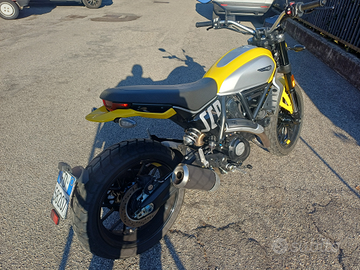 Ducati scambler 800
