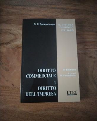 diritto commerciale1 Campobasso