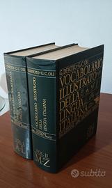 Vocabolario illustrato della lingua italiana 