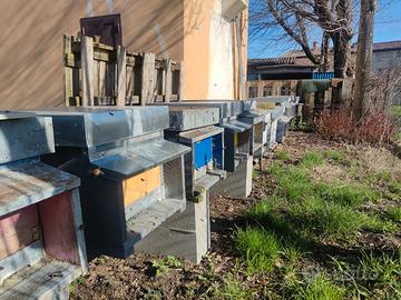 Nuclei / Famiglie di api