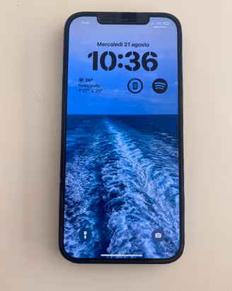 Iphone 12 pro max-blu